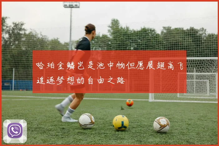 哈珀金鳞岂是池中物但愿展翅高飞追逐梦想的自由之路