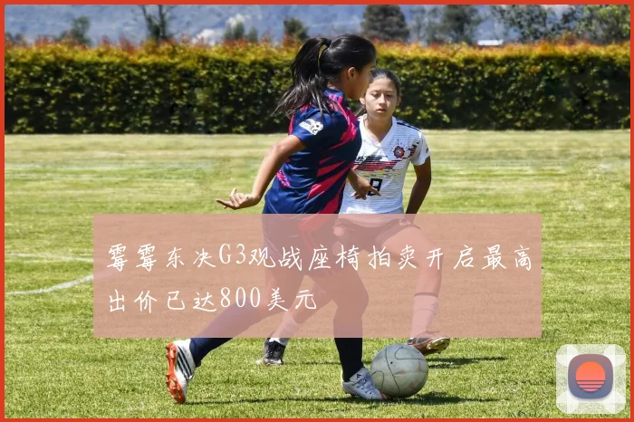 霉霉东决G3观战座椅拍卖开启最高出价已达800美元